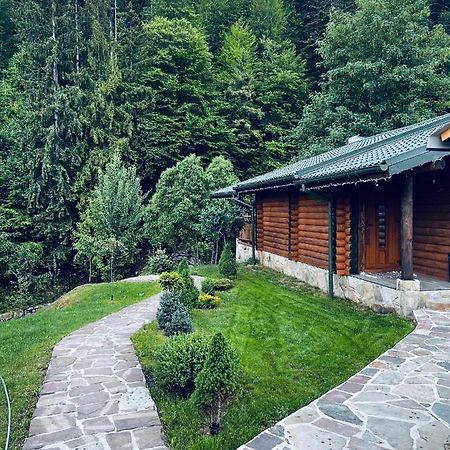 Котеджi У Бажанiв Tatariw Exterior foto