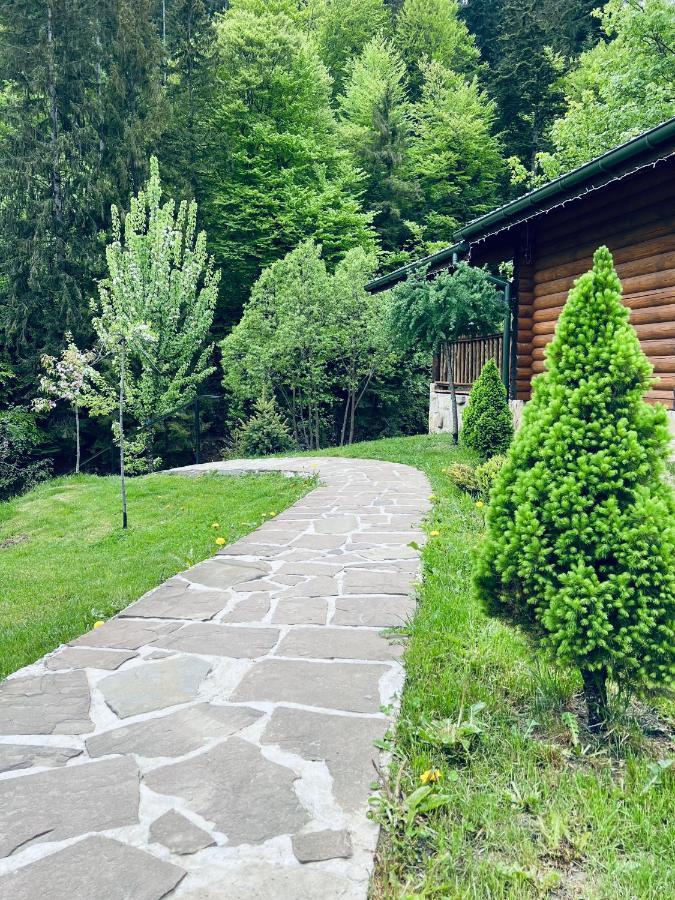 Котеджi У Бажанiв Tatariw Exterior foto