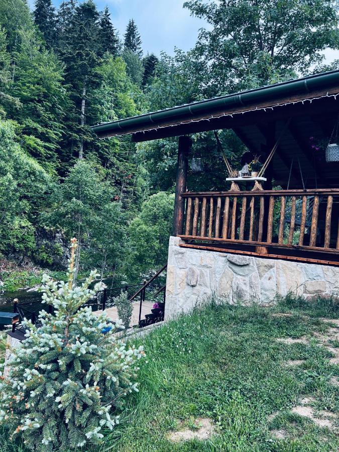 Котеджi У Бажанiв Tatariw Exterior foto