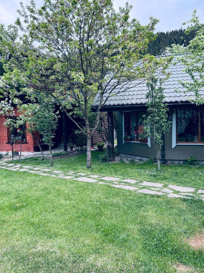 Котеджi У Бажанiв Tatariw Exterior foto