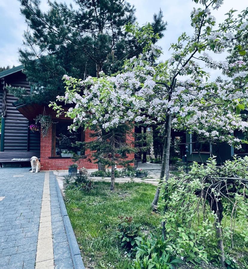 Котеджi У Бажанiв Tatariw Exterior foto